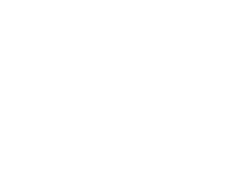 Logo SNgoes.digital